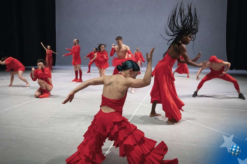 "any attemp"...  Photo credit: Phile Deprez